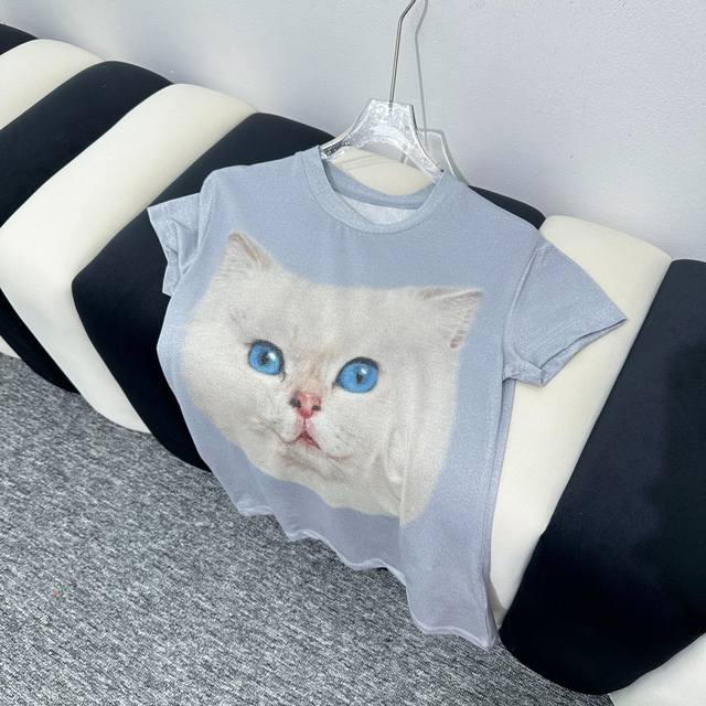 Acnestudios 2024 夏季新款 3D打印个性猫咪印花套头圆领短袖t恤，高版本 码数：Xs S M